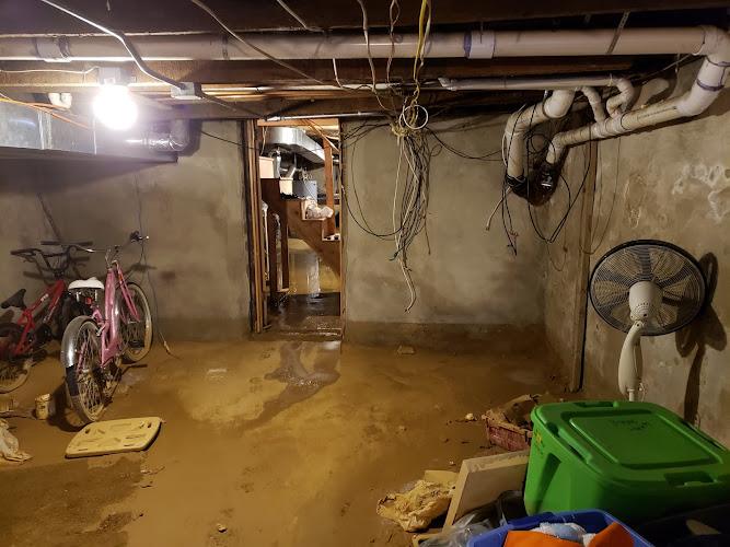 Mold Solutions & Inspections