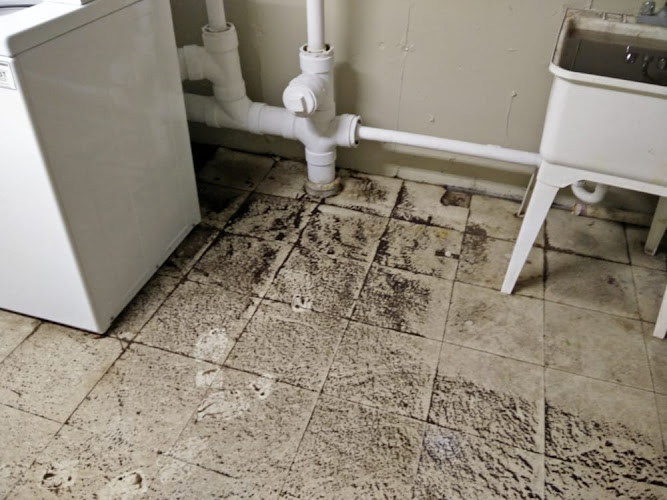 Spotless Janitorial Services