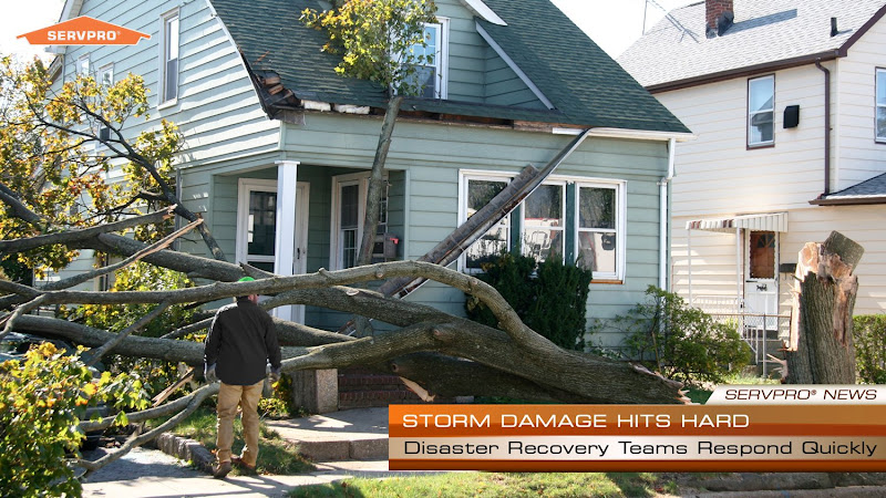 SERVPRO of Richardson